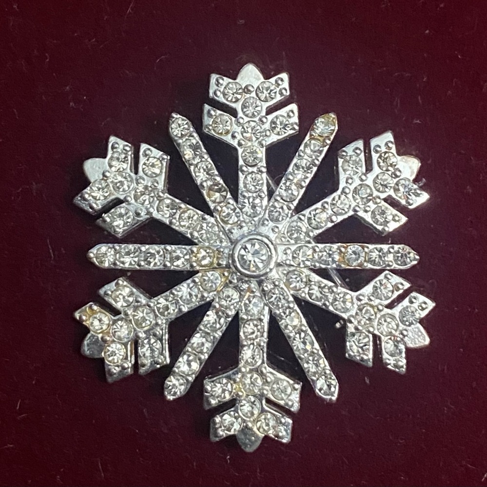 Money Snowflake Brooch
